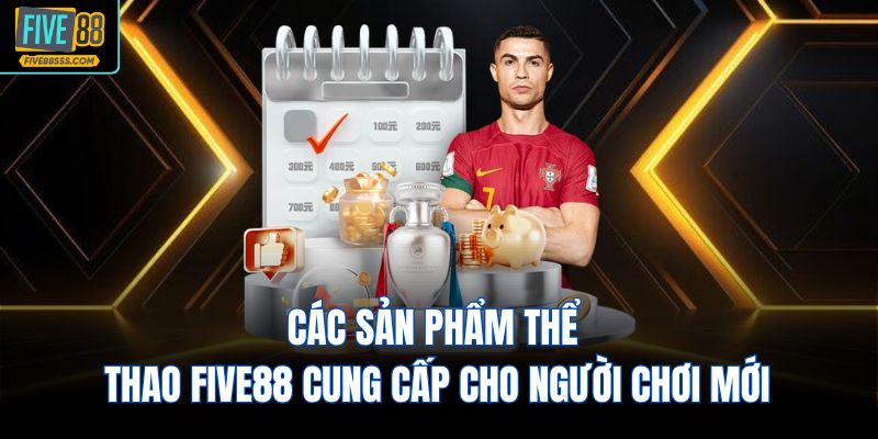 Các sản phẩm thể thao FIVE88 cung cấp cho người chơi mới