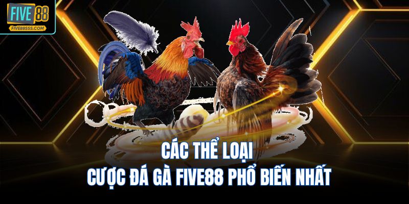 Các thể loại cược đá gà FIVE88 phổ biến nhất