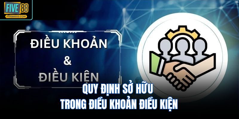 Quy định sở hữu trong điều khoản điều kiện